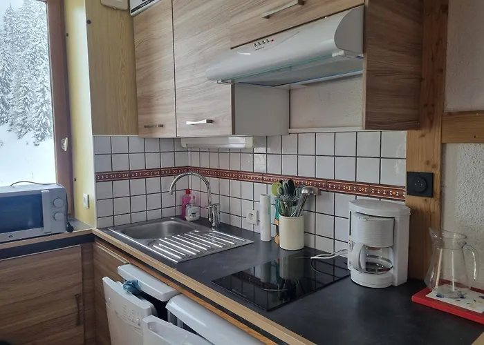 Cosy à Plagne Bellecôte - 4 Pers, Parking Inclus - Fr-1-181-2876 Appartement *